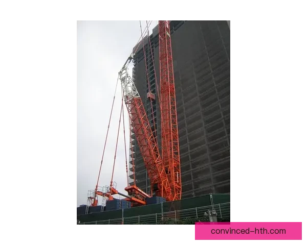 拜耳勒沃库森新赛季战略调整与阵容升级全面解析动态追踪与未来展望