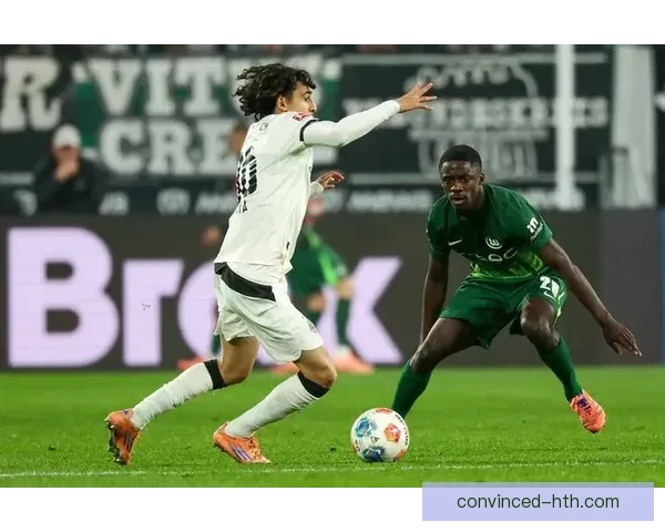 沃尔夫斯堡足球俱乐部的崛起与发展历程分析