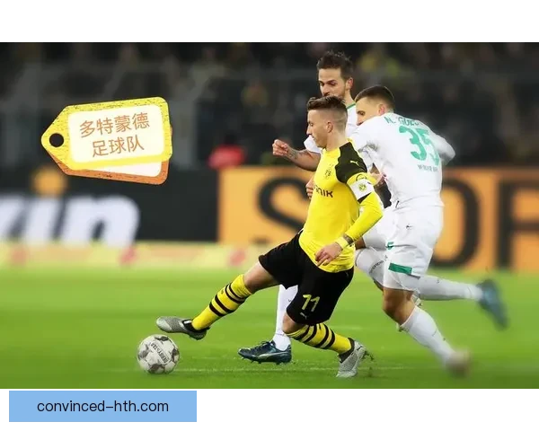 美因茨05俱乐部发展历程与辉煌战绩全景解析